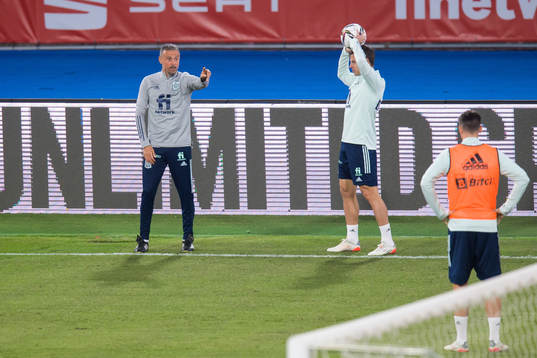 Head coach Luis Enrique of the Spanish national football