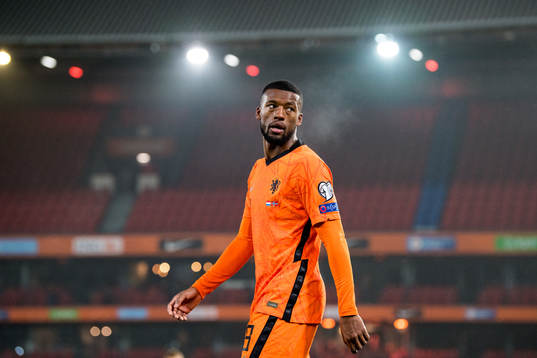 Georginio Wijnaldum of Netherlands