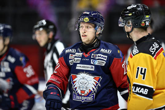 Linköpings Vilmos Gallo