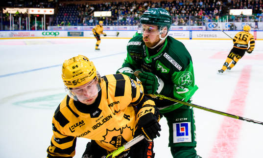 Skellefteås Jonathan Pudas och Färjestads Pontus