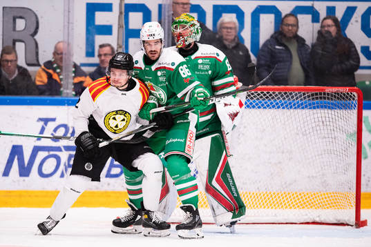 Brynäs Adam Pettersson och Rögles Eric Gelinas
