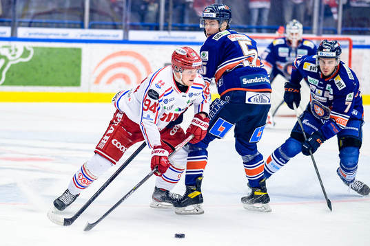 Timrås Sebastian Hartmann