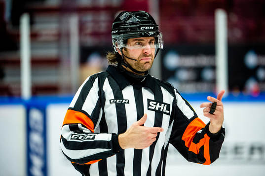 Domare Mikael Sjöqvist