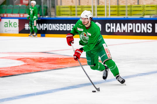 Rögles Eric Gelinas