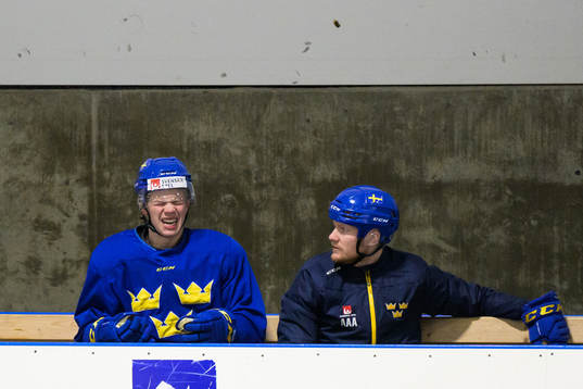 Video coach Adam Almqvist (R) sits next to Albert Sjöberg