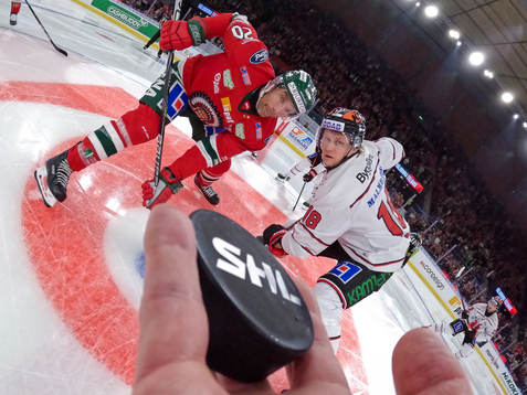 This picture is part of Bildbyrån’s selection of best