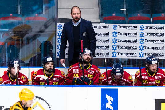 Djurgårdens tränare Nichlas Falk