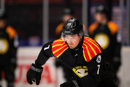 Brynäs Marcus Björk
