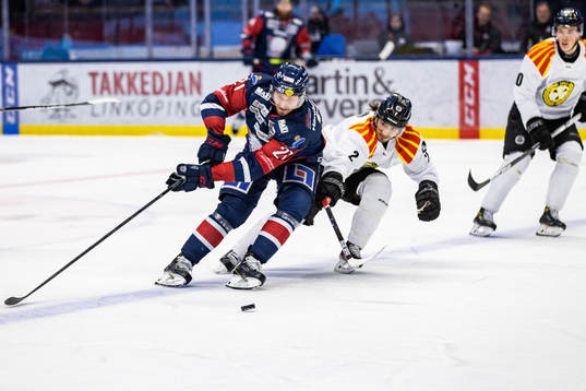 Linköpings Christoffer Ehn och Brynäs Kristofer Berglund