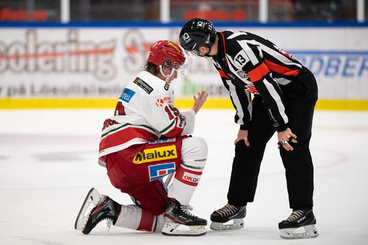 Modos Erik Jinesjö Karlsson och domare Stefan Johansson