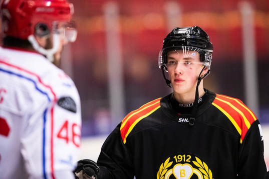 Brynäs Noel Gunler
