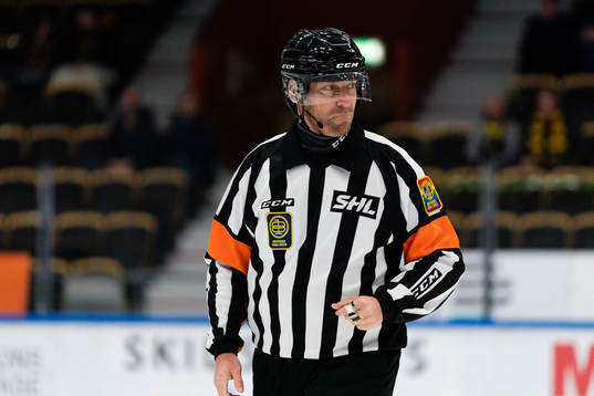 Domare Sören Persson