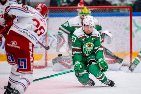 Rögles Leon Bristedt