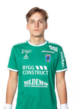 Sirius Hannes Sveijer