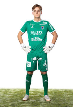 Sirius Hannes Sveijer