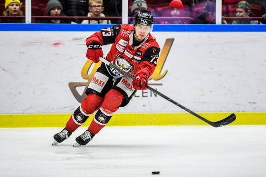 Malmö Redhawks Adam Ollas Mattsson
