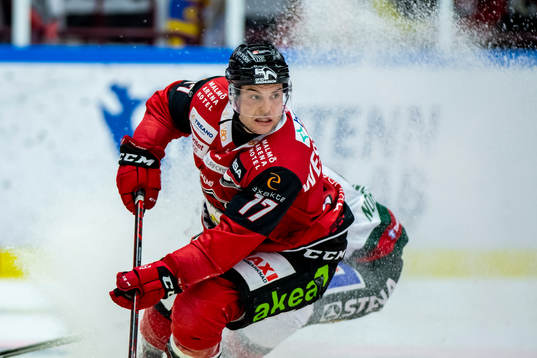 Malmö Redhawks Pathrik Westerholm