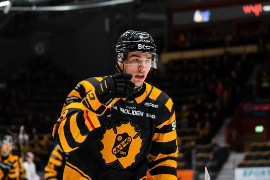 Skellefteås Albin Sundsvik jublar