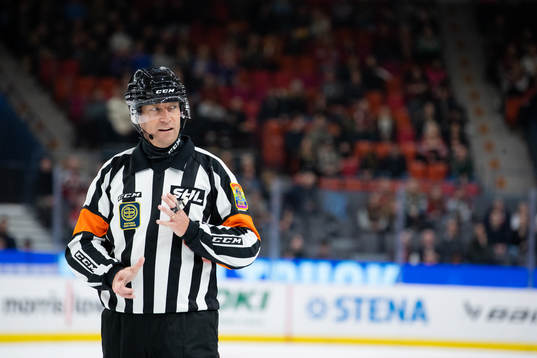 Domare Sören Persson