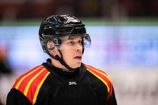 Brynäs Tomi Sallinen