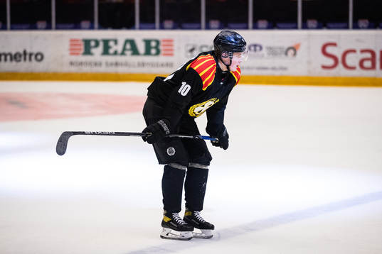 Brynäs Noel Gunler