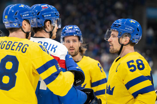 Peter Cehlarik of Slovakia in a discussion with Anton