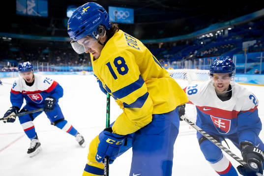 Libor Hudacek and Martin Gernat of Slovakia against Dennis