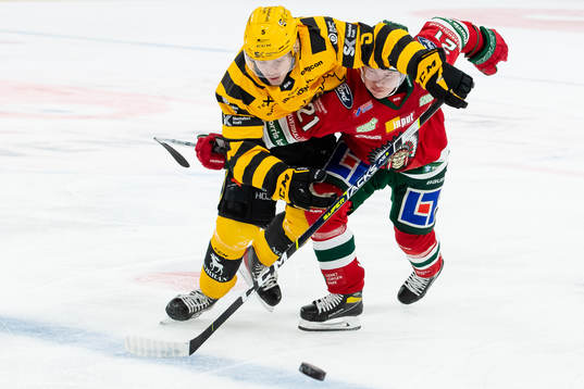 Skellefteås Fred Nilsson