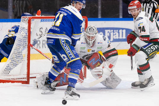 Frölundas målvakt Niklas Rubin