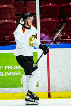 Brynäs Noel Gunler jublar