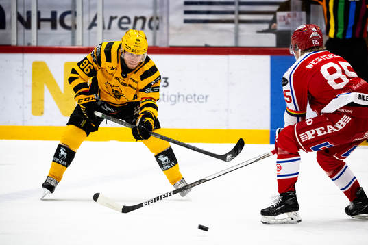 Skellefteås Rickard Hugg