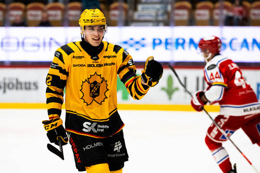 Skellefteås Adam Wilsby jublar