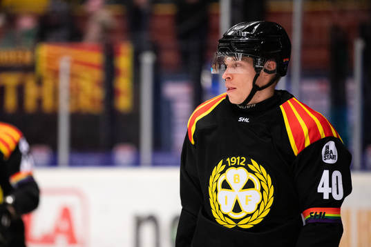 Brynäs Tomi Sallinen