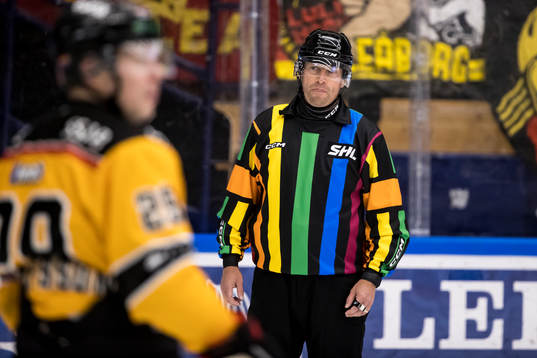 Domare Sören Persson