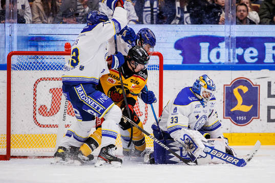 Leksands målvakt Axel Brage