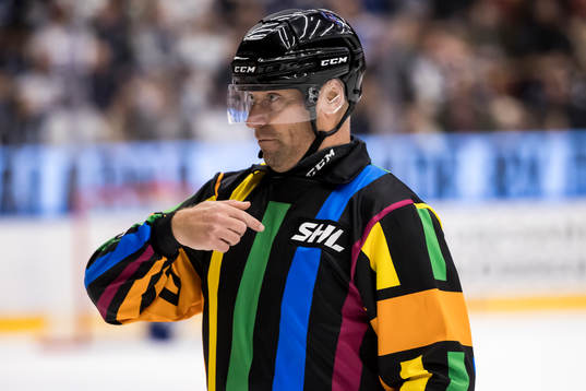 Domare Sören Persson