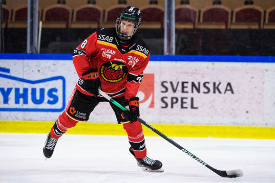 Luleås Dans Locmelis