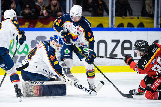 Djurgårdens målvakt Mantas Armalis