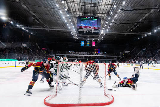 Djurgårdens målvakt Mantas Armalis