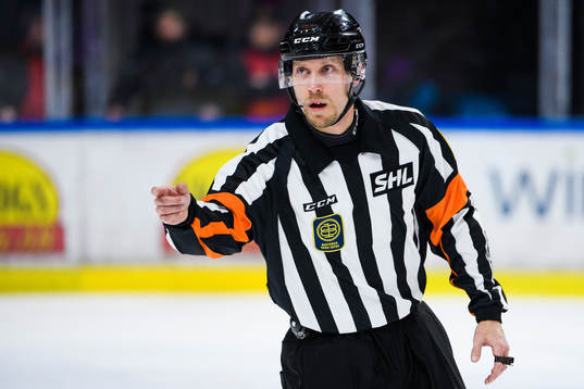 Domare Andreas Harnebring