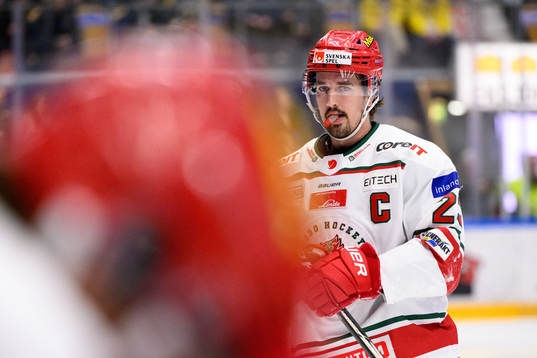 Modos Daniel Sylwander