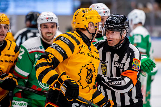 Skellefteås Michael Kapla  och Domare Sören Persson