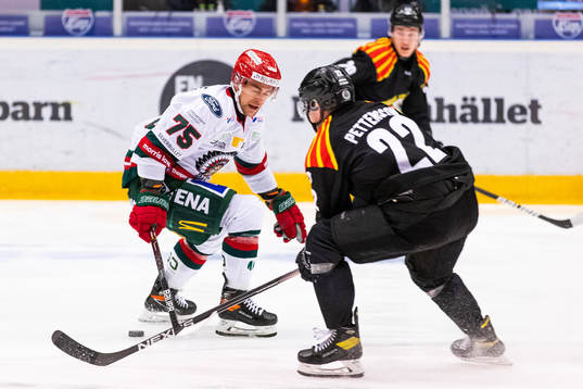 Frölundas Radan Lenc och Brynäs Adam Pettersson