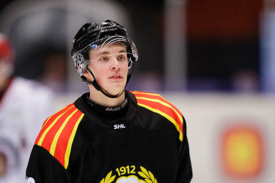 Brynäs Noel Gunler