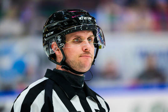 Domare Patric Bjälkander