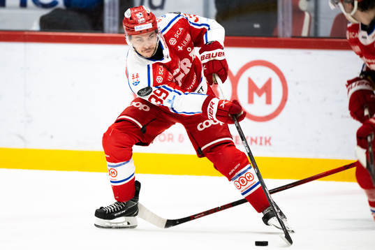 Timrås Ty Rattie