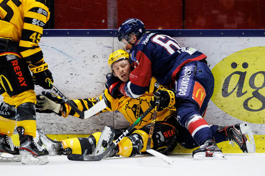 Skellefteås Jayce Hawryluk och Linköpings Markus Ljungh