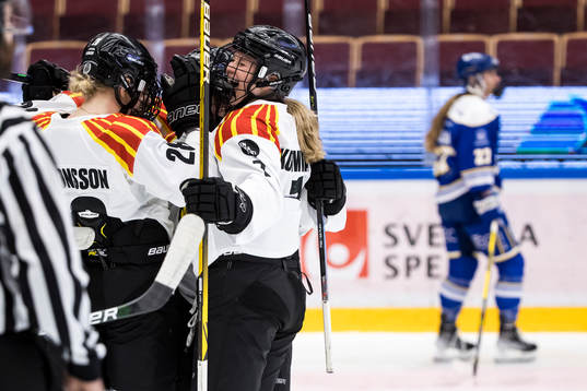 Brynässpelarna jublar