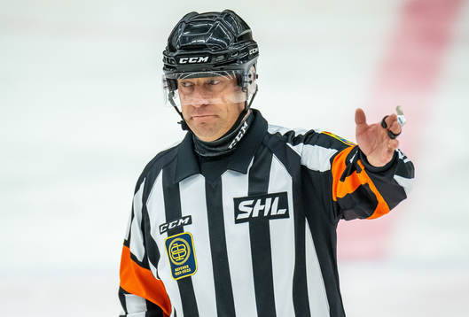 Domare Sören Persson