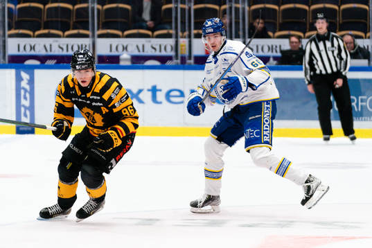 Skellefteås Rickard Hugg och Leksands Nils Åman